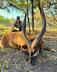 Ox Ranch Wild Game