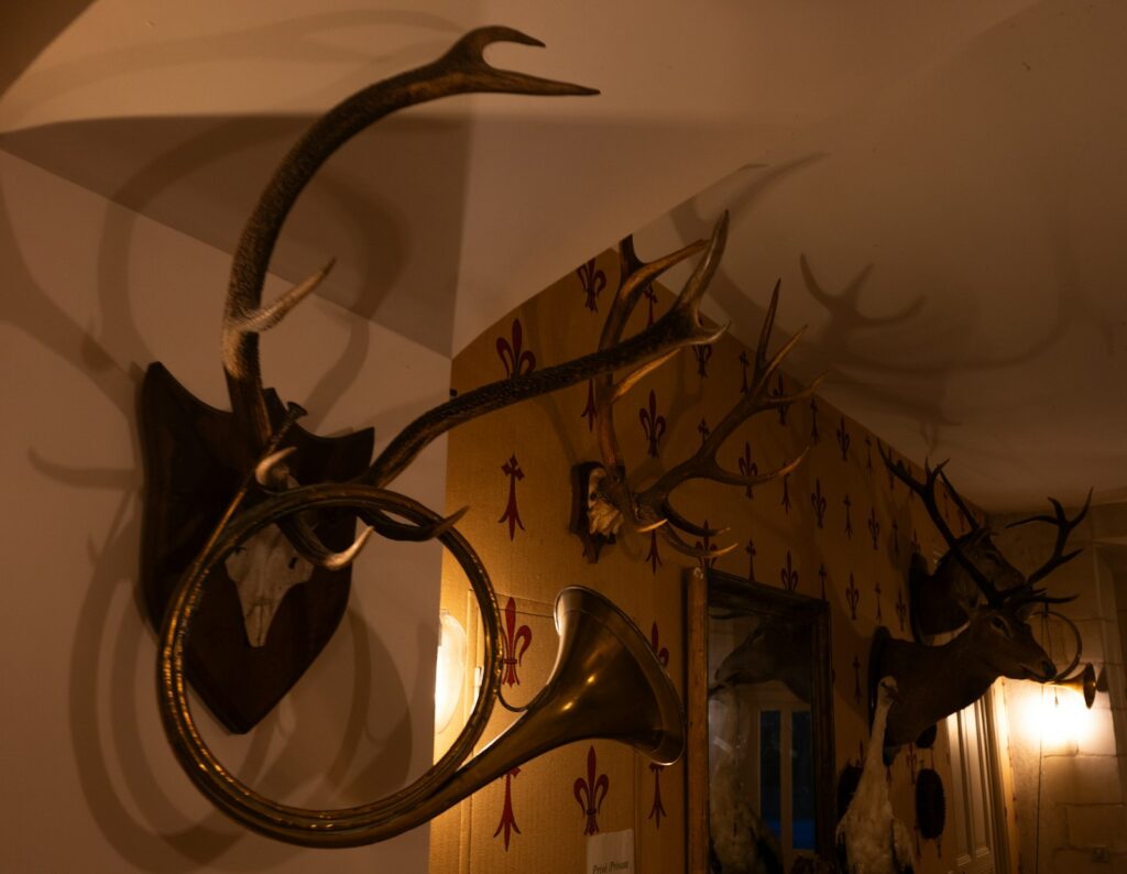 Deadwood Mountain Outfitters - Elk, Mule Deer, Pronghorn, Exotics hunting in New Mexico